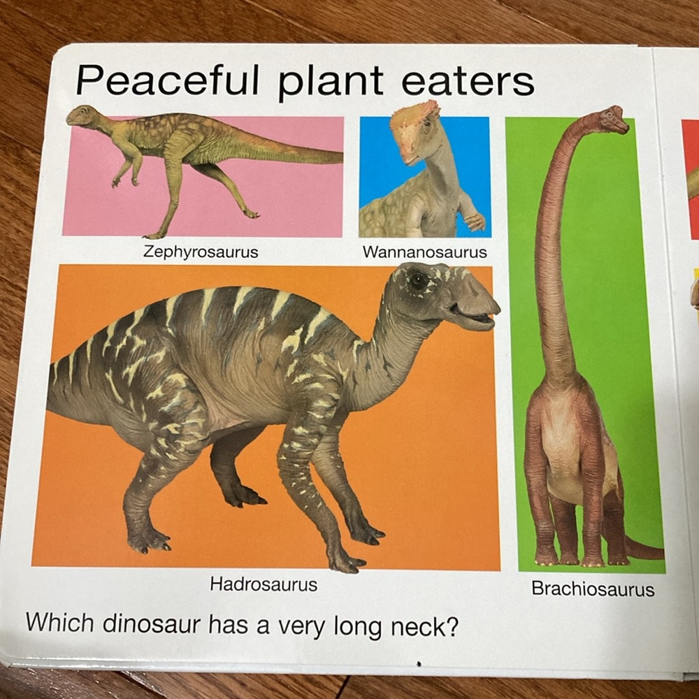 For the love of  DINOSAURS - Dino Figurine, Big Book & Floor Puzzle (48 pieces) - Picture 6 of 16